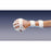 Wrist, Hand and Finger