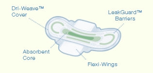 The Palm Tree Group AlwaysUltra Thin Active Feminine Pad Maxi with Wings Regular Absorbency - 3700002923