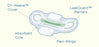 The Palm Tree Group AlwaysUltra Thin Active Feminine Pad Maxi with Wings Regular Absorbency - 3700002923