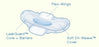The Palm Tree Group AlwaysUltra Thin Feminine Pad Maxi with Wings Overnight Absorbency - 3700030165
