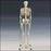 Mr. Plain - Skeleton - A10