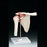 Anatomical Chart Company Functional Shoulder Joint Model - A80