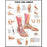 Anatomical Chart Company Anatomical Chart Foot and Ankle 20 X 26 Inch Styrene Plastic Grommets - 9781587796869