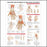 Anatomical Chart Company Anatomical Chart Injuries of the Hand and Wrist 20 X 26 Inch Heavy Paper Grommets Laminated - 9781587799143