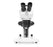 Stereo Microscope