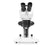 DM Dual Mag - Stereo Microscope Binocular Head 20X / 40X Fixed Stage - DMM-S24N-7LL3