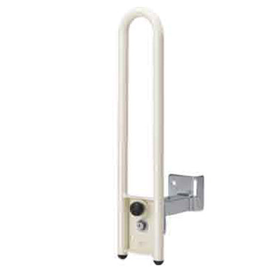 Assist Bed Side Rail