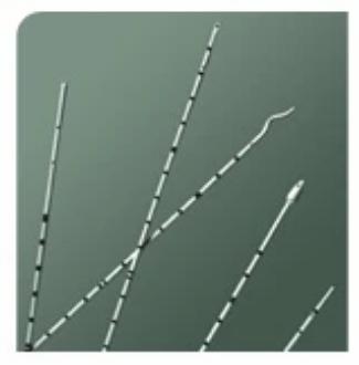Bard Bard Urethral Catheter Spiral Tip Polyurethane 4 Fr. 70 cm - 137904