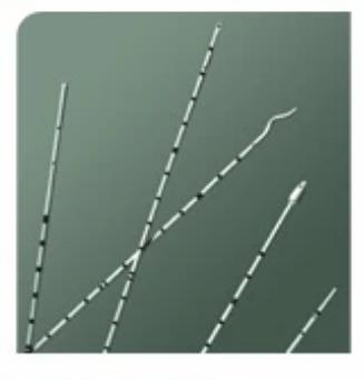 Bard Bard Urethral Catheter Spiral Tip Polyurethane 6 Fr. 70 cm - 137506