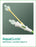 Aquaguide - Ureteral Access Sheath 45 cm Size 1 - 131145
