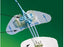 StatLock CV Plus - Catheter / Line Securement Device - CV0226