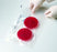 BD GasPak - Anaerobe Pouch System BD Gaspak - 260683