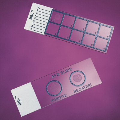 BD BBL - Gram Stain Control Slide 1 X 3 Inch White End - Bd - 231401