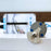 Mopec Mopec Swordfish Autopsy Saw