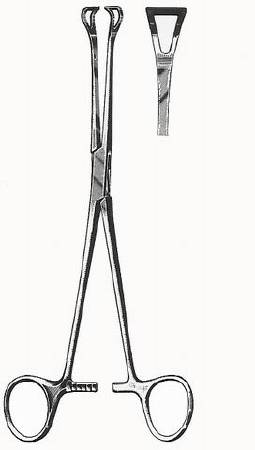 HerMann Medizintechnik - Grasping Forceps Babcock 6 Inch Length Surgical Grade Stainless Steel / Tungsten Carbide Ratchet Lock Finger Ring Handle Curved Serrated Fenestrated Triangular Tips - H164-16016