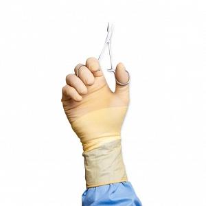 Protexis Neoprene Essential - Surgical Glove Size 6.5 Sterile Pair Polychloroprene Extended Cuff Length Smooth Light Brown Chemo Tested - 2D73DS65