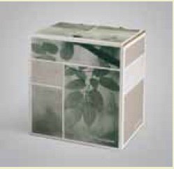 Becton Dickinson PleurX Drainage Catheter Kit - 50-7500B