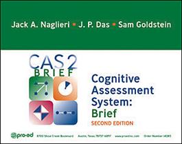Cognitive Assessment System