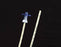Cook Medical - Airway Exchange Catheters 1.6 mm - G07833