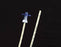 Cook Medical - Airway Exchange Catheter - G06732