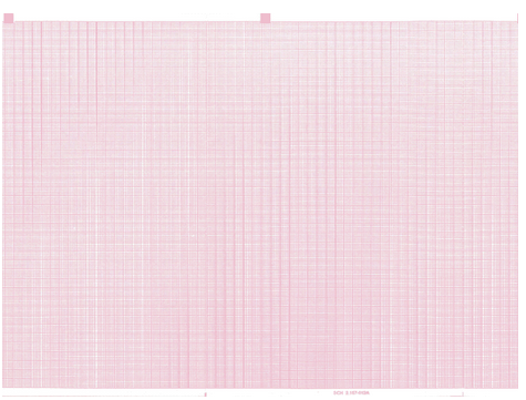  Chart Paper