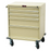 Treatment Cart