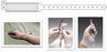 Precision Dynamics Securline Identification Band Blood WristBand Permanent Snap Without Legend - 2403-14-PDB
