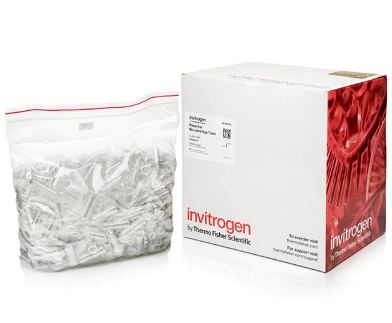 Fisher Scientific Invitrogen Microcentrifuge Tube Conical Bottom Plain 2 mL Without Color Coding Snap Cap Polypropylene Tube - AM12425