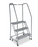 LADDER, STEP W/RAILS