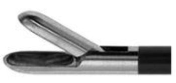 Scissors and Biopsy Forceps