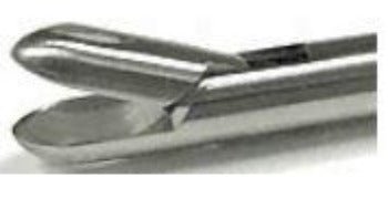 Scissors and Biopsy Forceps