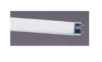 Replacement Bulb