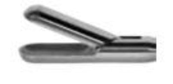 Scissors and Biopsy Forceps