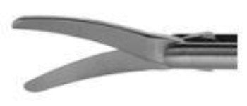 Scissors and Biopsy Forceps
