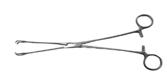 Vulsellum Double Tooth