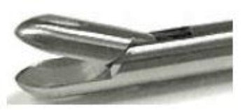 Biopsy Forceps