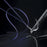 Suture Loop with Needle