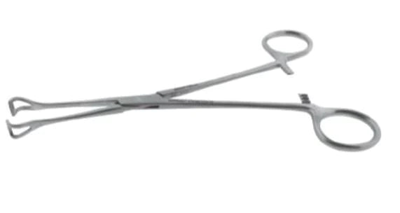 BR Surgical - Intestinal Forceps Babcock 5-1/2 Inch Length Stainless Steel NonSterile Ratchet Lock Finger Ring Handle 6 mm Jaw - BR64-16014