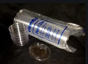 Petri Dish