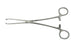 BR Surgical BR Surgical Tissue Forceps Allis-Thomas 8 Inch Stainless Steel NonSterile Ratchet Lock Finger Ring Handle Straight 6 X 7 Teeth - BR64-15020