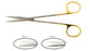 BR Surgical BR Surgical Dissecting Scissors Metzenbaum 9 Inch Length Surgical Grade Stainless Steel / Tungsten Carbide NonSterile Finger Ring Handle Curved Sharp/Sharp - BR08-27523