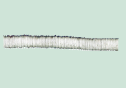 Healthmark Polypropylene Flexistem - 50 each - 1" x 3" in, - HMK-FLEX033