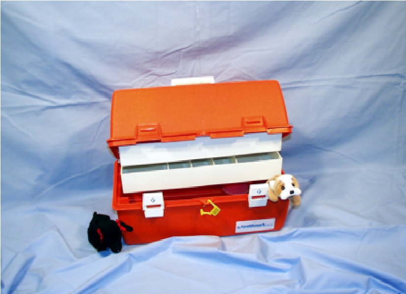 Healthmark Med Cases- 11 Compartments, Orange, 19" x 10.75" x 10.125" in- HMK-1910-2