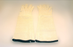 Healthmark Terry Cloth Autoclave Gloves