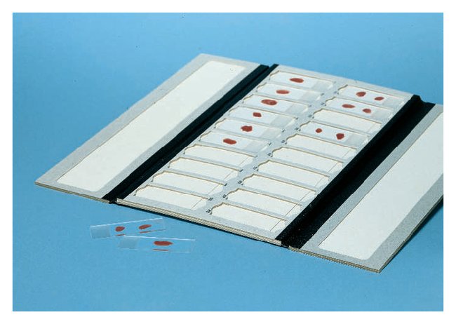 Cardboard Slide Tray