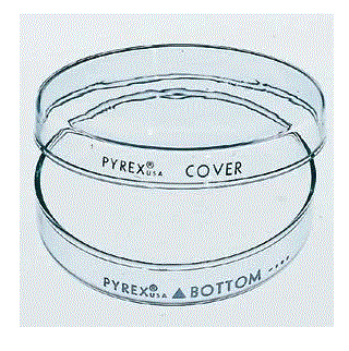 Fisher Scientific Petri Dish Cover Pyrex - 08749C
