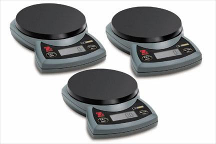 Fisher Scientific Food / Lab Scale Digital LCD Display 2000 Gram Battery Operated - 191934