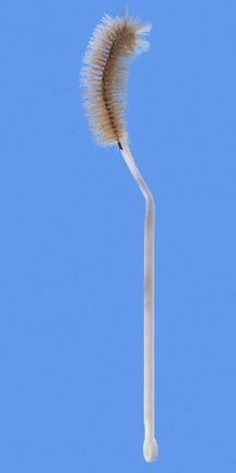Fisher Scientific Fisherbrand Flask Brush 12 Inch L, Bristle: 1.37 OD X 3.5 L Inch, Plastic, Flexible-Handle with Hanging Ring 250 mL Flask - 03570A