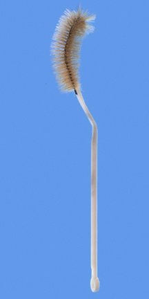 Fisherbrand - Flask Brush 12 Inch L, Bristle: 1.37 OD X 3.5 L Inch, Plastic, Flexible-Handle with Hanging Ring 250 mL Flask - 03570A