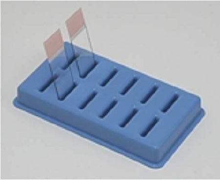Fisher Scientific Slide Holder 6-5/8 X 3-7/8 X 7/8 Inch, Blue, Polypropylene Drying / Draining Slides - 22038396